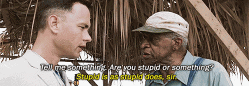 Forrest Gump Stupid Is As Stupid Does GIF