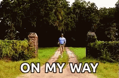 Forrest Gump Tom Hanks GIF