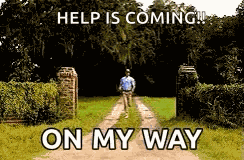 Forrest Gump Tom Hanks GIF