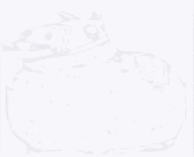 Fortnite Fortnite Loot Llama GIF