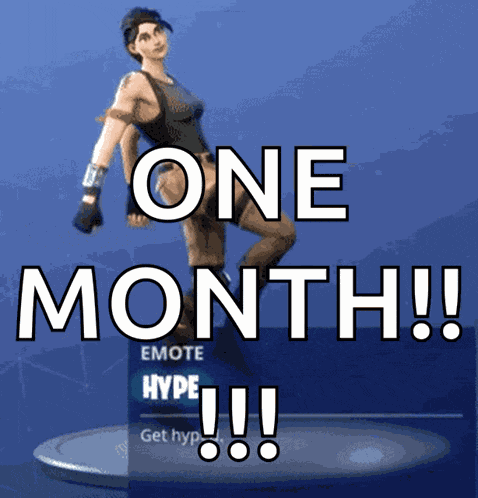 Fortnite Hype GIF