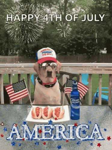 Fourth Of July GIF