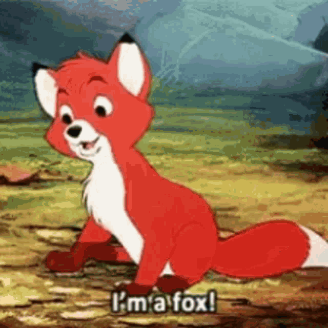 Fox GIF