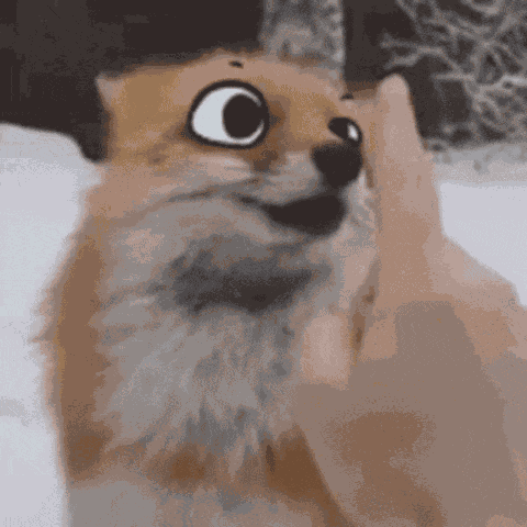 Fox Happy GIF