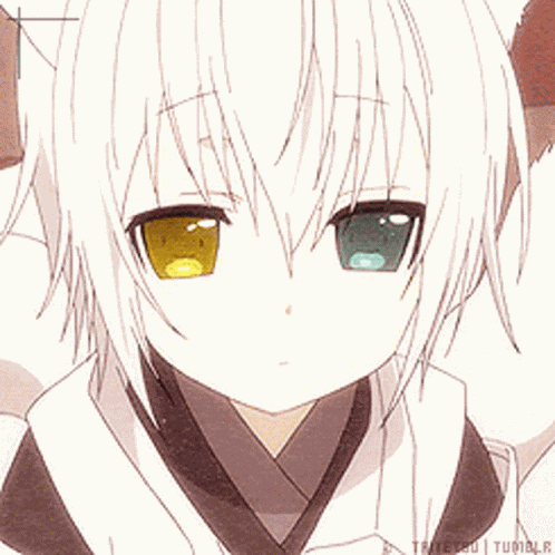 Fox Inu X Boku GIF