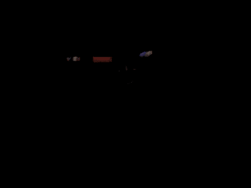 Foxy Foxy Fnaf GIF