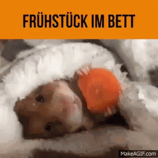 Frühstück GIF
