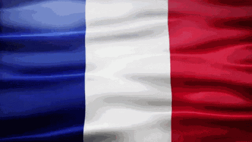 France Flag Gif GIF