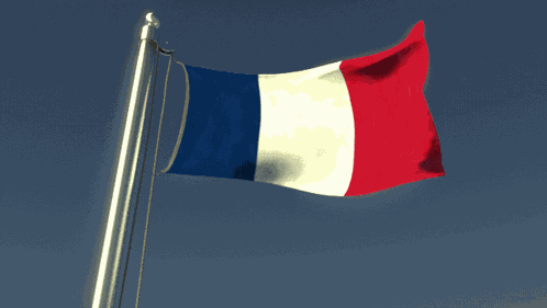 France Navy GIF