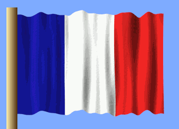 Fransa France GIF