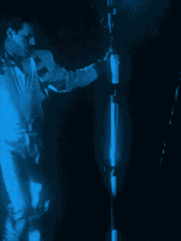 Freddie Freddie Mercury GIF