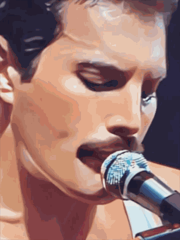Freddie Freddie Mercury GIF