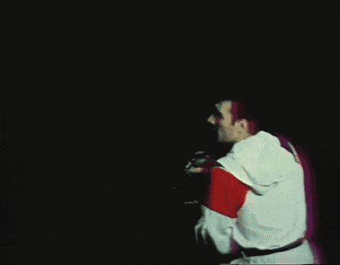 Freddie Freddie Mercury GIF
