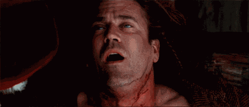 Freedom Braveheart GIF