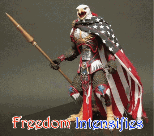 Freedom Intensifies Eagle GIF