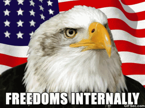 Freedom Merica GIF