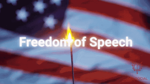 Freedom Of Speech Free Speech GIF