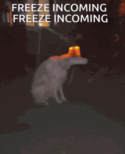 Freeze Lag GIF