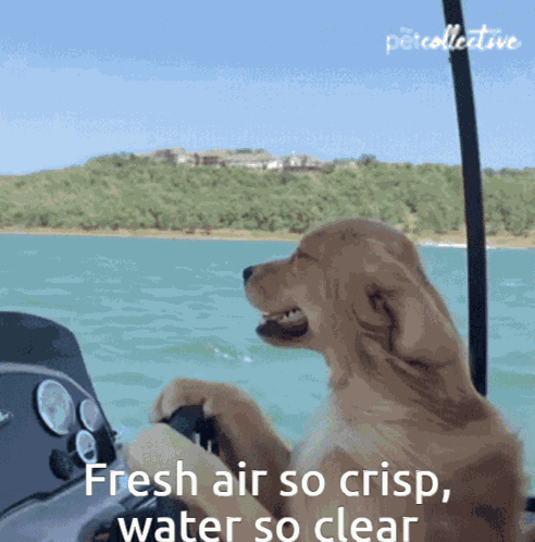 Fresh Air So Crisp Water So Clear GIF