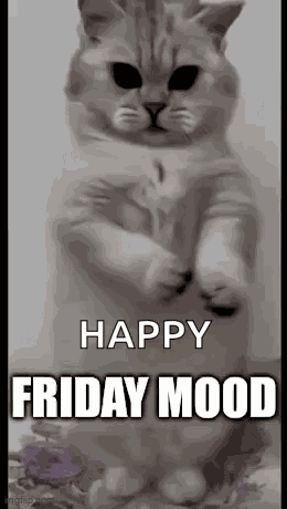 Friday End Of The Week GIF