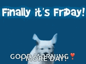 Friday Excited GIF