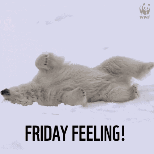 Friday Feeling GIF