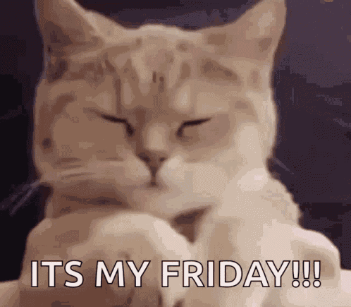 Friday Good GIF