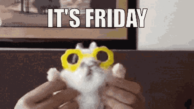 Friday Hamster Dance GIF