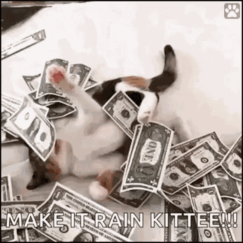 Friday Pay GIF