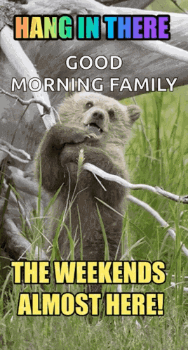 Friday Weekend GIF