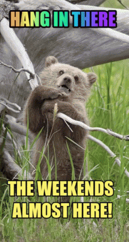 Friday Weekend GIF