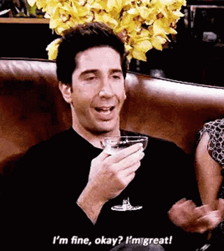 Friends American Sitcom GIF