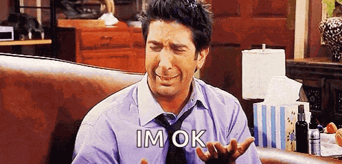 Friends David Schwimmer GIF