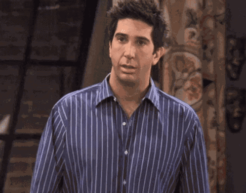 Friends Ross Geller GIF