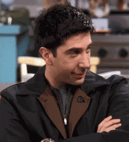 Friends Ross Geller GIF