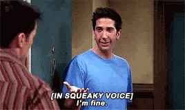 Friends Ross Geller GIF