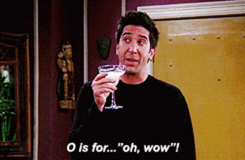 Friends Ross Geller GIF