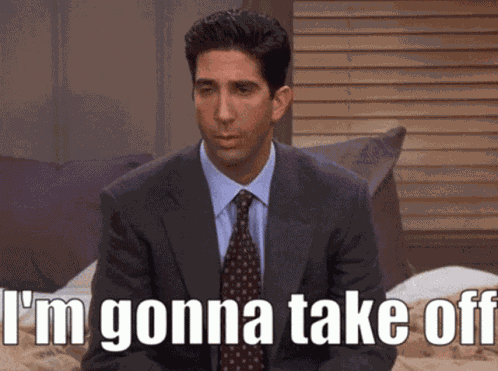 Friends Ross Geller GIF