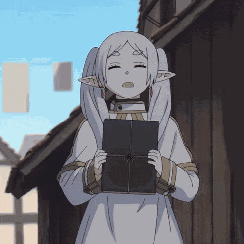 Frieren Anime Frieren Elf GIF