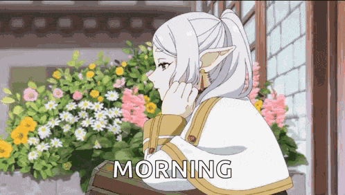 Frieren Anime GIF