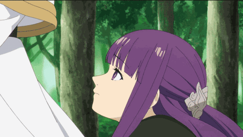 Frieren Anime GIF
