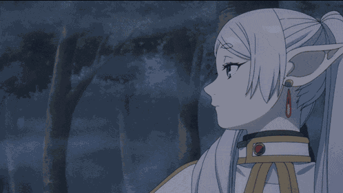 Frieren Anime GIF