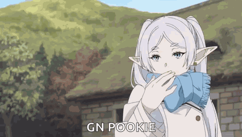 Frieren Beyond Journey'S End Sousou No Frieren GIF