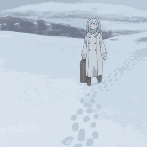 Frieren Dies Cold GIF