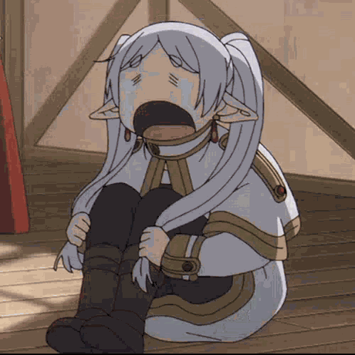 Frieren Elf GIF