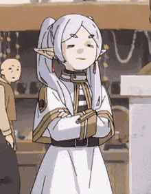 Frieren Frieren Anime GIF
