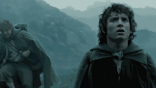 Frodo Baggins GIF