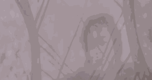 Frodo Elrond GIF