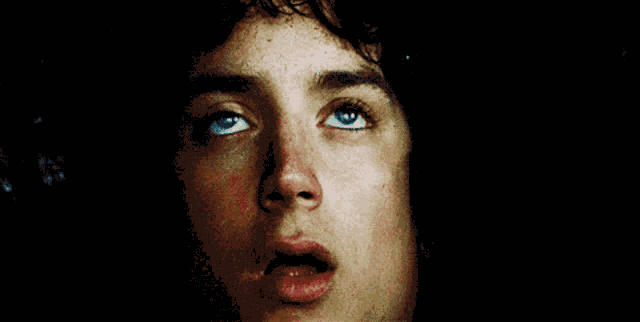 Frodo Frodon GIF