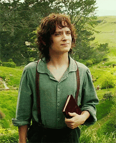Frodo Hobbit GIF